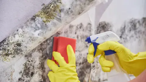 Gloved hands cleaning mold on a wall with a sponge and spray bottle