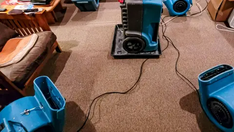 Air movers and a dehumidifier drying a carpeted room