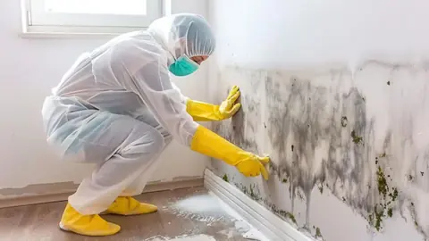 Technician in a protective suit and gloves cleaning mold growth along the lower part of a wall