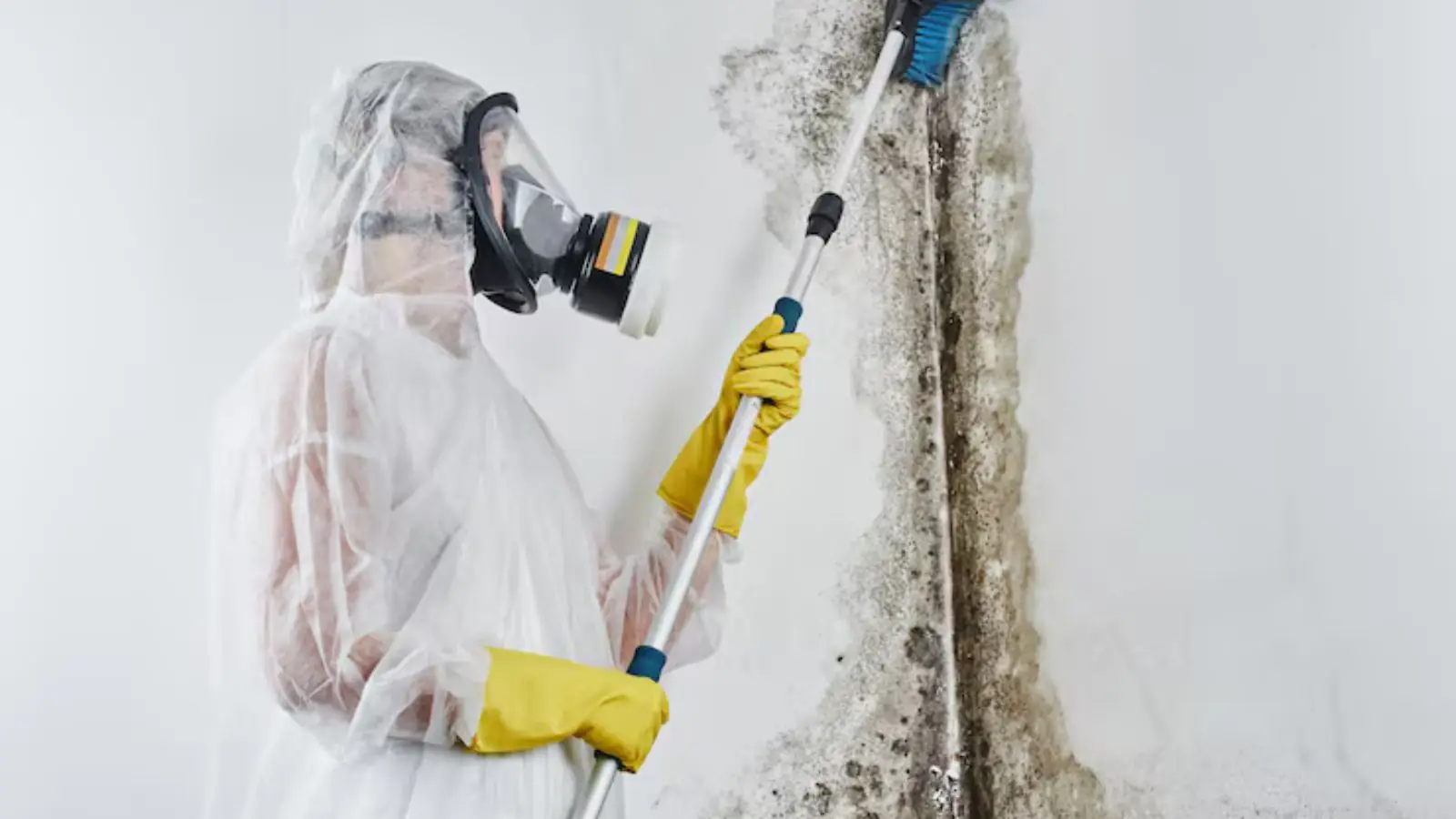 Technician in a protective suit and respirator treating a moldy wall with a pole sprayer